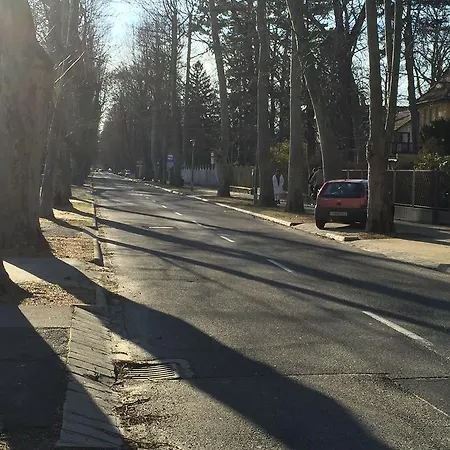 Nosztalgia * 希欧福克